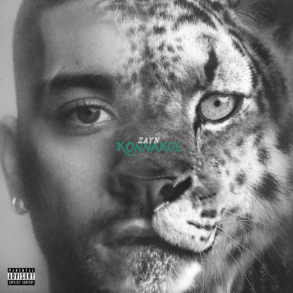 ZAYN