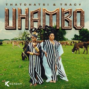 Thatohatsi